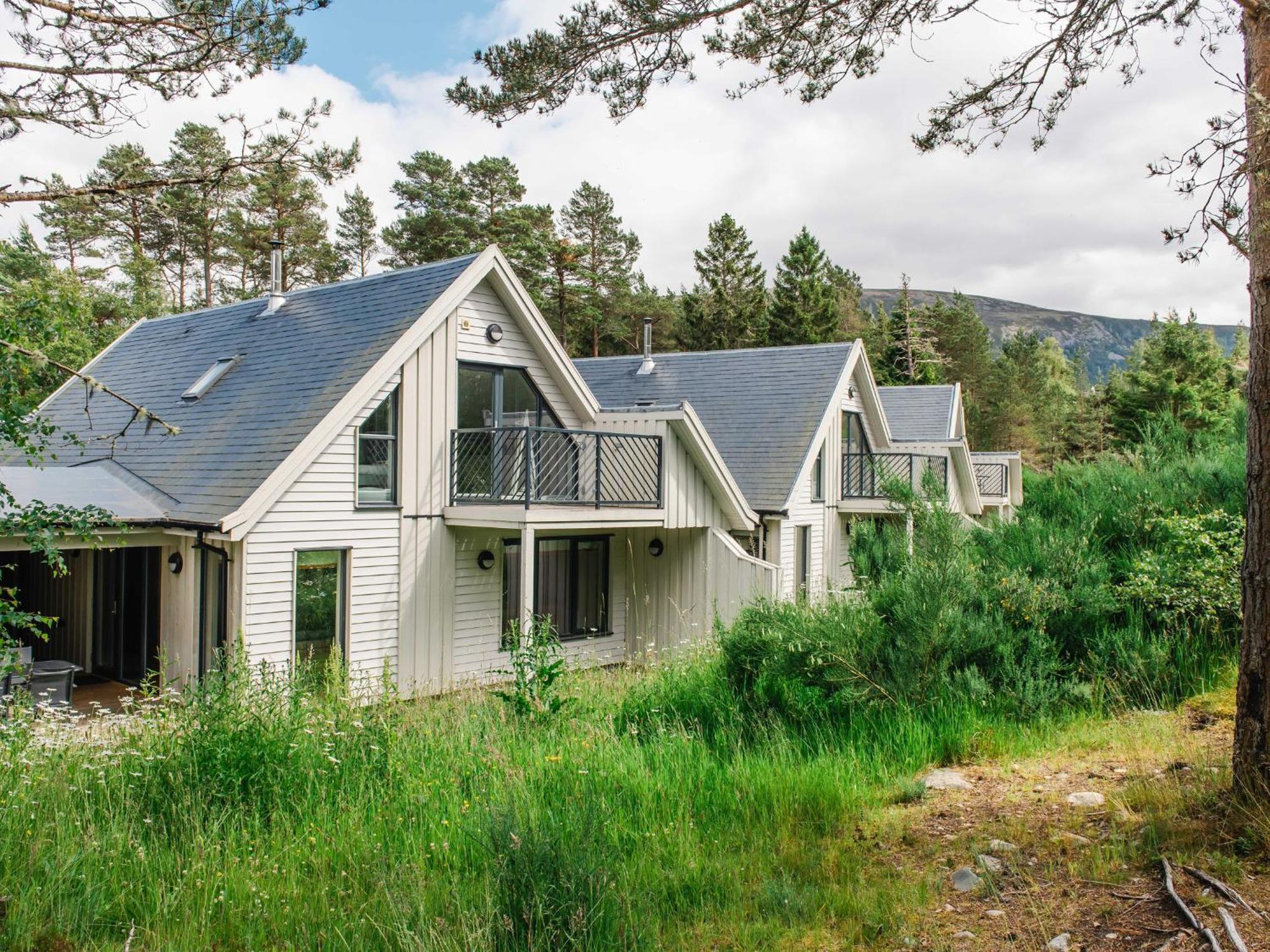 Osprey Apartment Кінгуссі Екстер'єр фото