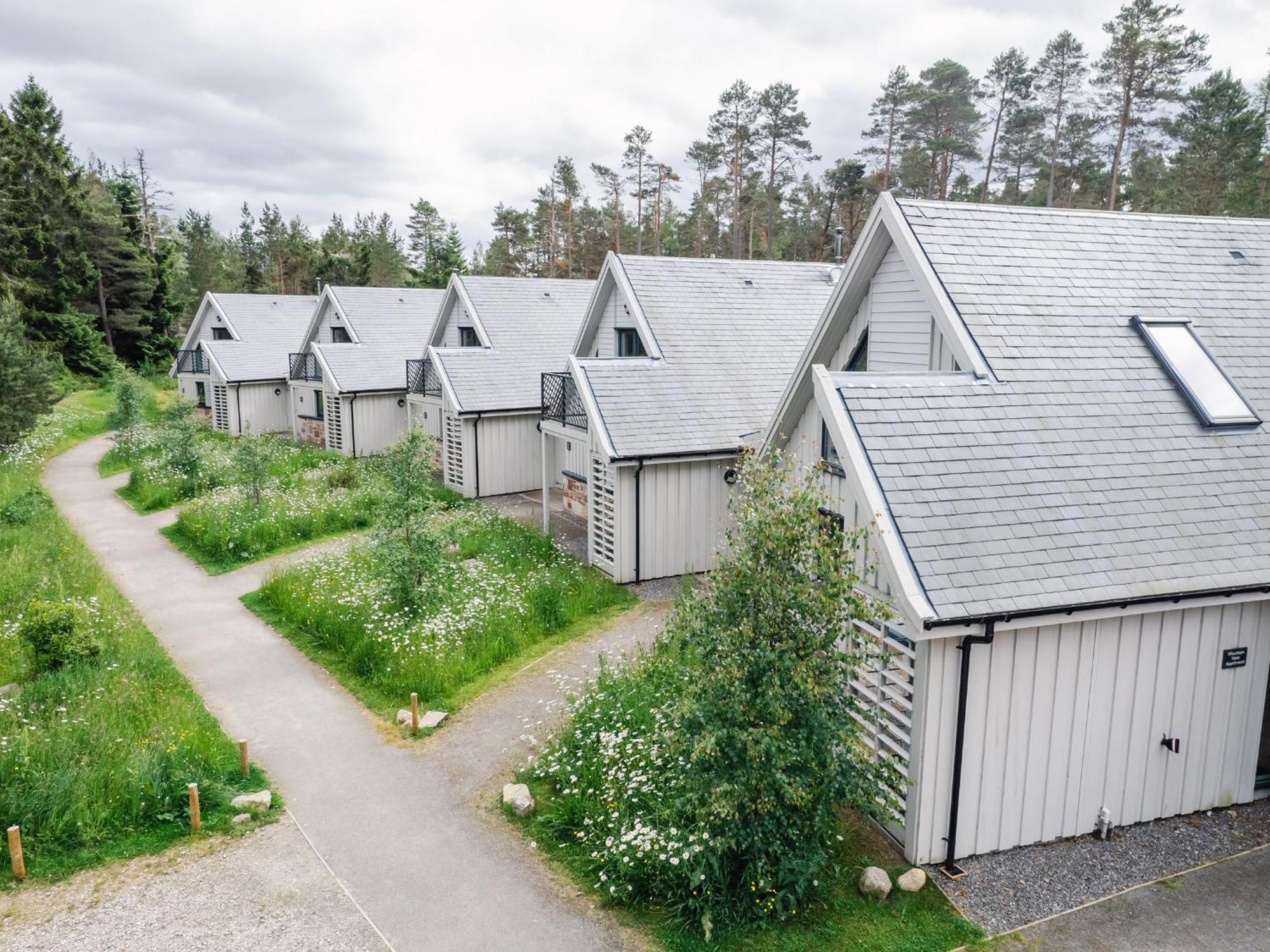 Osprey Apartment Кінгуссі Екстер'єр фото
